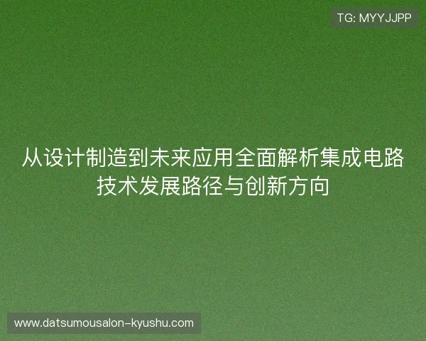 从设计制造到未来应用全面解析集成电路技术发展路径与创新方向 从设计制造到未来应用全面解析集成电路技术发展路径与创新方向